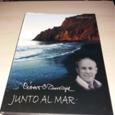 Libros: CÉSAR MANRIQUE - JUNTO AL MAR . Lote 98414706