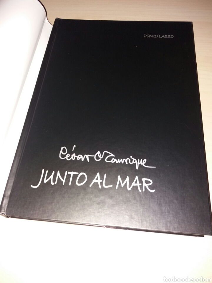 Libros: C&Eacute;SAR MANRIQUE - JUNTO AL MAR - Foto 2