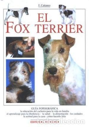 Libros: EL FOX TERRIER - Cattaneo,Filippo - Foto 1
