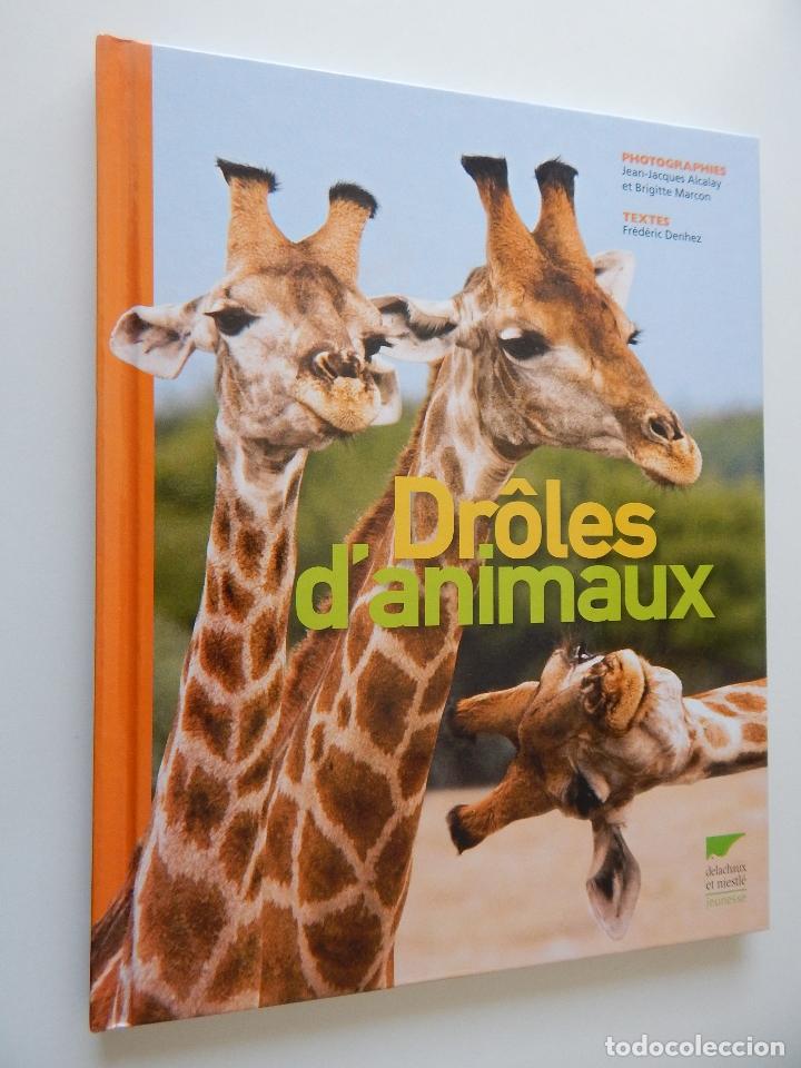 Libri di seconda mano: Dr&ocirc;les d&acute;animaux - Jean-Jacques Alcalay et Brigitte Marcon, Fr&eacute;d&eacute;ric Denhez - 2008