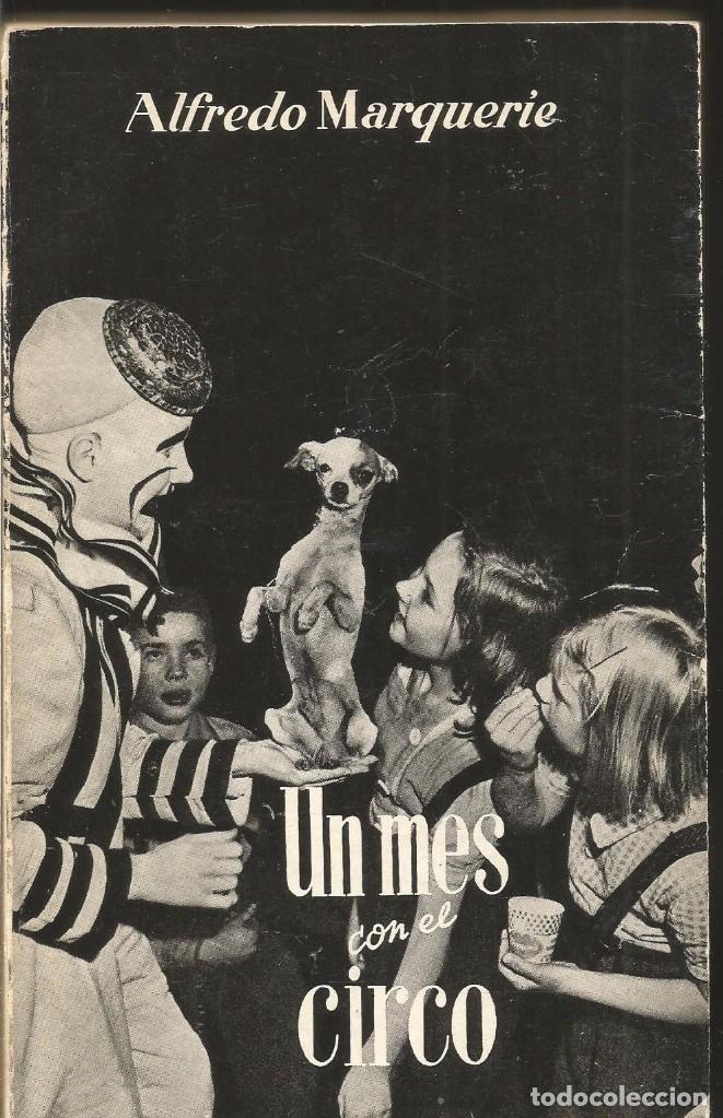 Libros: ALFREDO MARQUERIE. UN MES CON EL CIRCO. TAURUS - Foto 1