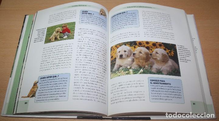 Libros: Golden retriever - Nona Kilgore Bauer - Foto 2