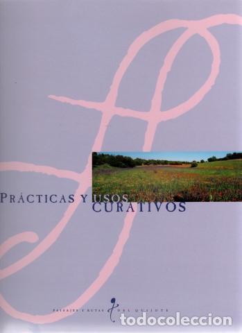Libros: Pr&aacute;cticas y usos curativos - Ormazabal, Arancha. Hualde, Carmen. Gonz&aacute;lez Casarrubios, Consolaci&oacute;n .