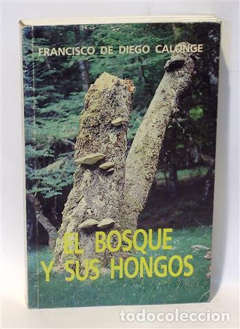 Libros: EL BOSQUE Y SUS HONGOS - DIEGO CALONGE, Francisco de - Foto 1