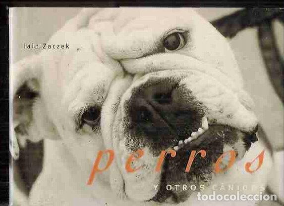 Libros: PERROS Y OTROS C&Aacute;NICOS - ZACZEK, IAIN - Foto 1