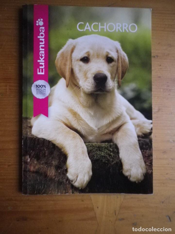Libros: CACHORRO  EUKANUBA - Foto 1