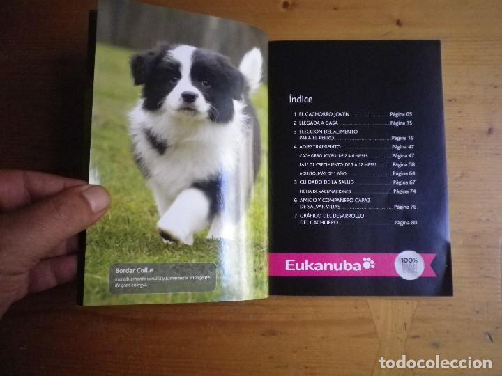 Libros: CACHORRO  EUKANUBA - Foto 2
