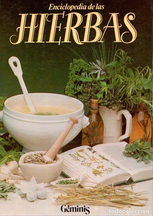Libros: El mundo de las hierbas - NO CONSTA AUTOR - Foto 1