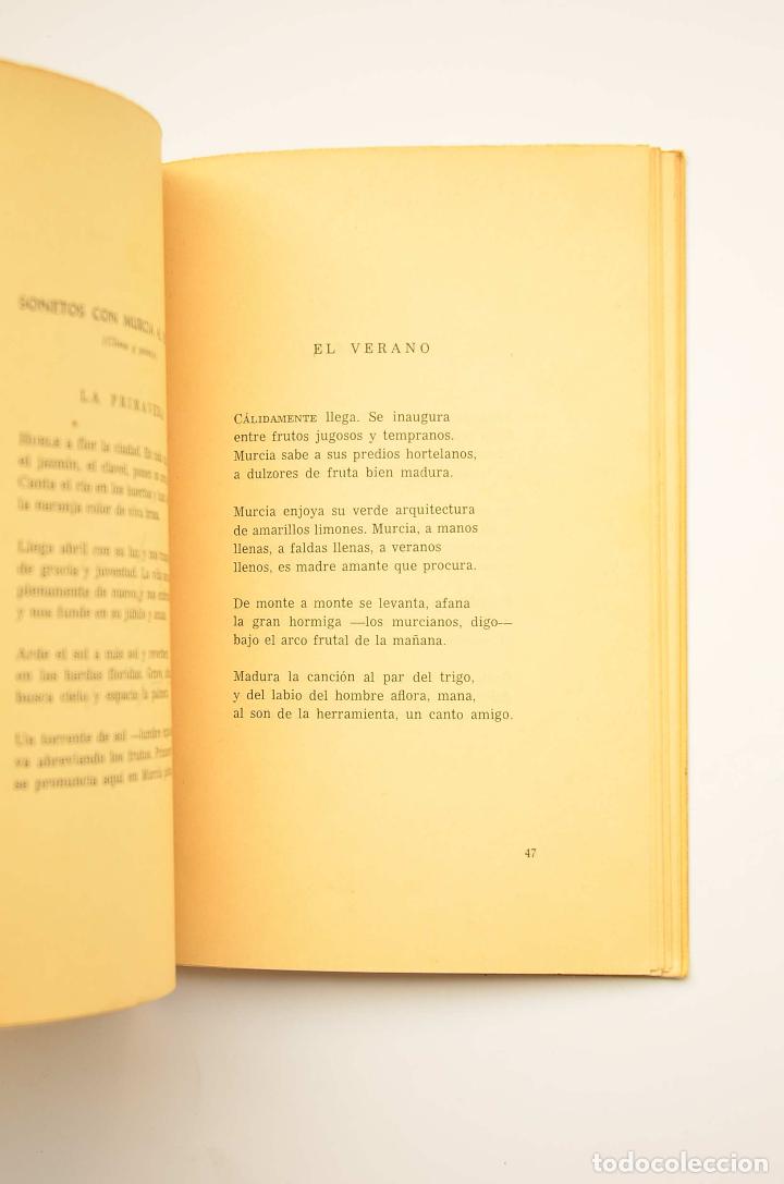 Libros: Raz&oacute;n de lo cotidiano - S&Aacute;NCHEZ BAUTISTA, Francisco - Foto 3
