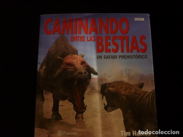 Libros: caminando entre las bestias, tim haines - Foto 1