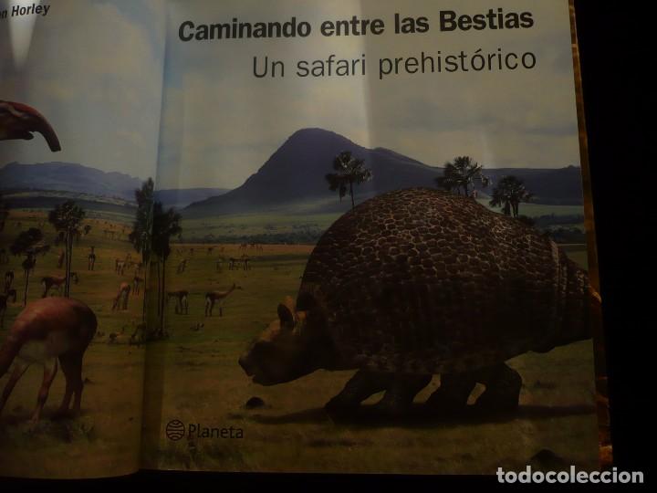 Libros: caminando entre las bestias, tim haines - Foto 3