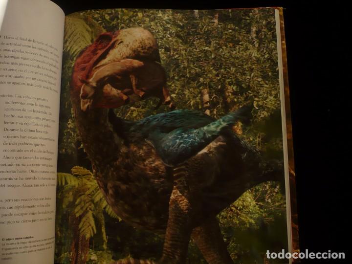 Libros: caminando entre las bestias, tim haines - Foto 4