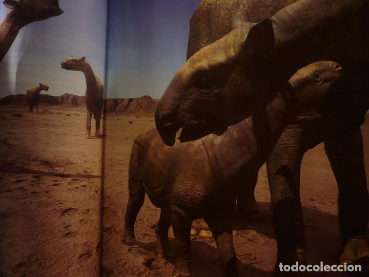 Libros: caminando entre las bestias, tim haines - Foto 6