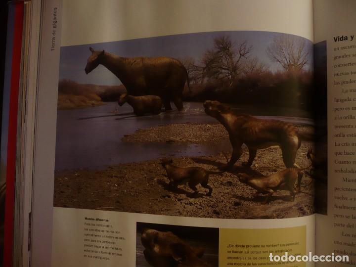 Libros: caminando entre las bestias, tim haines - Foto 7