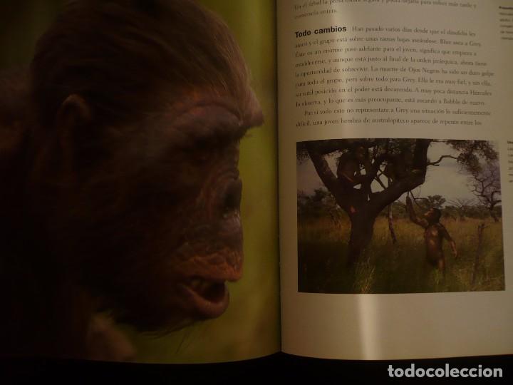 Libros: caminando entre las bestias, tim haines - Foto 8