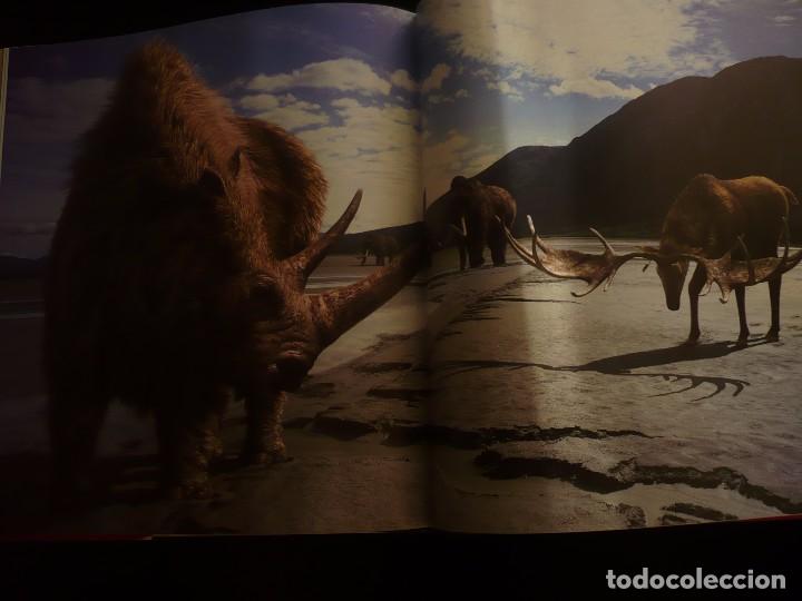 Libros: caminando entre las bestias, tim haines - Foto 9