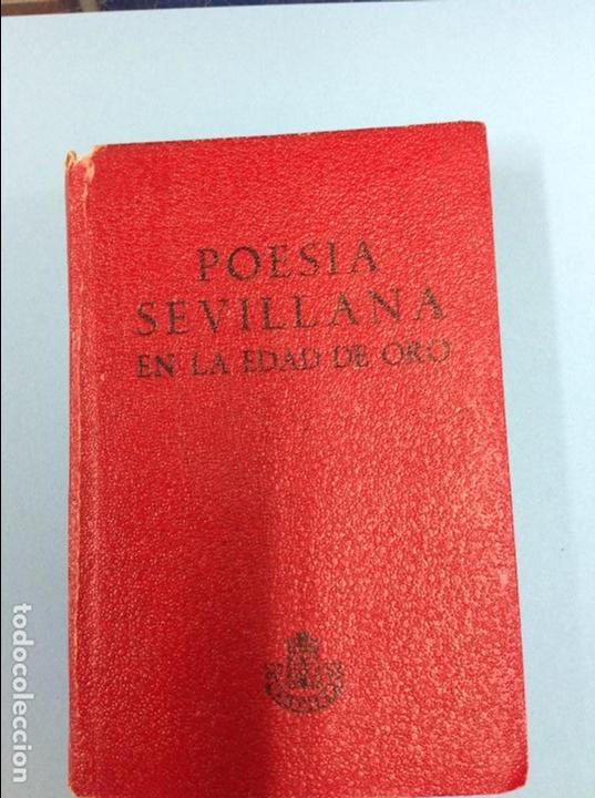 Libros: Poes&iacute;a sevillana en la edad de oro - Foto 1