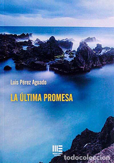 Libros: La &uacute;ltima promesa - Luis P&eacute;rez Aguado - Foto 1