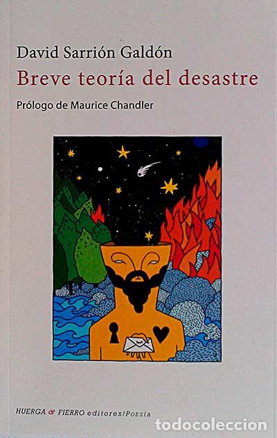 Libros: Breve teor&iacute;a del desastre - David Sarri&oacute;n Gald&oacute;n - Foto 1
