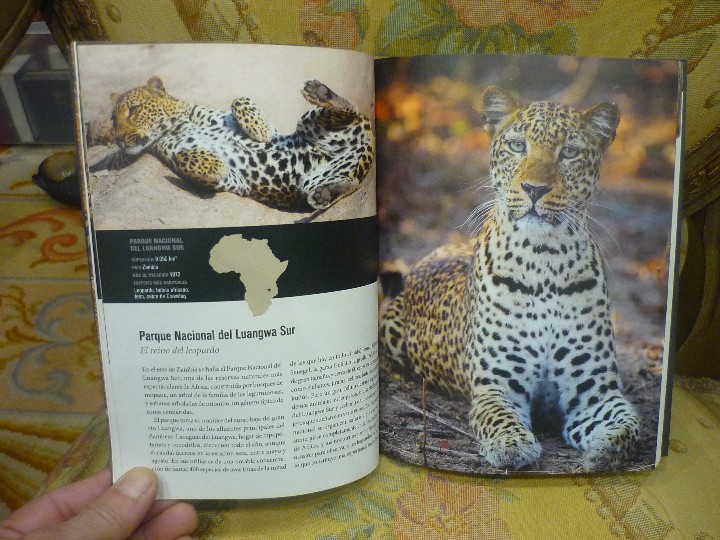 Libros: AGENDA NATIONAL GEOGRAPHIC 2.014. ILUSTRADA. - Foto 4