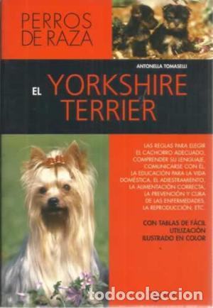Libros: EL YORKSHIRE TERRIER - Tomaselli,Antonella - Foto 1