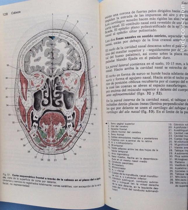 Libros: Manual de Anatom&iacute;a Humana (2 Vols.) - Aa. Vv. - Foto 3