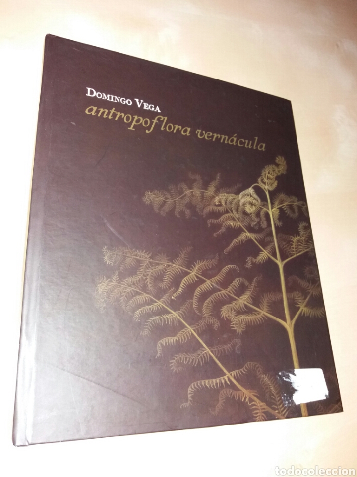 Libros: DOMINGO VEGA - ANTROPOFLORA VERN&Aacute;CULA - Foto 1