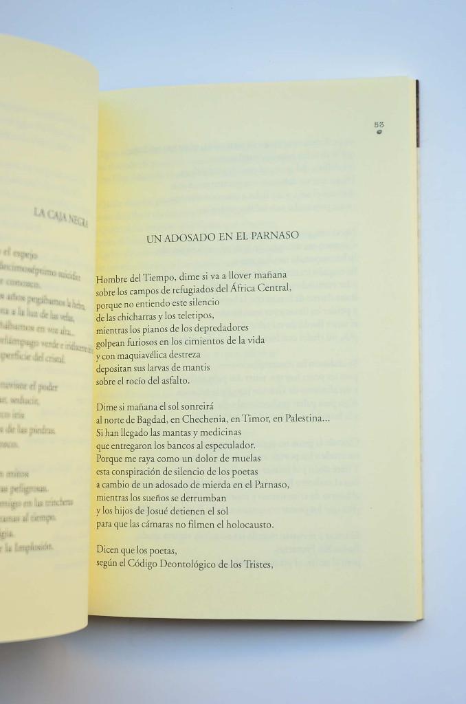 Libros: Demolici&oacute;n del arco iris - PETISME, &Aacute;ngel - Foto 3