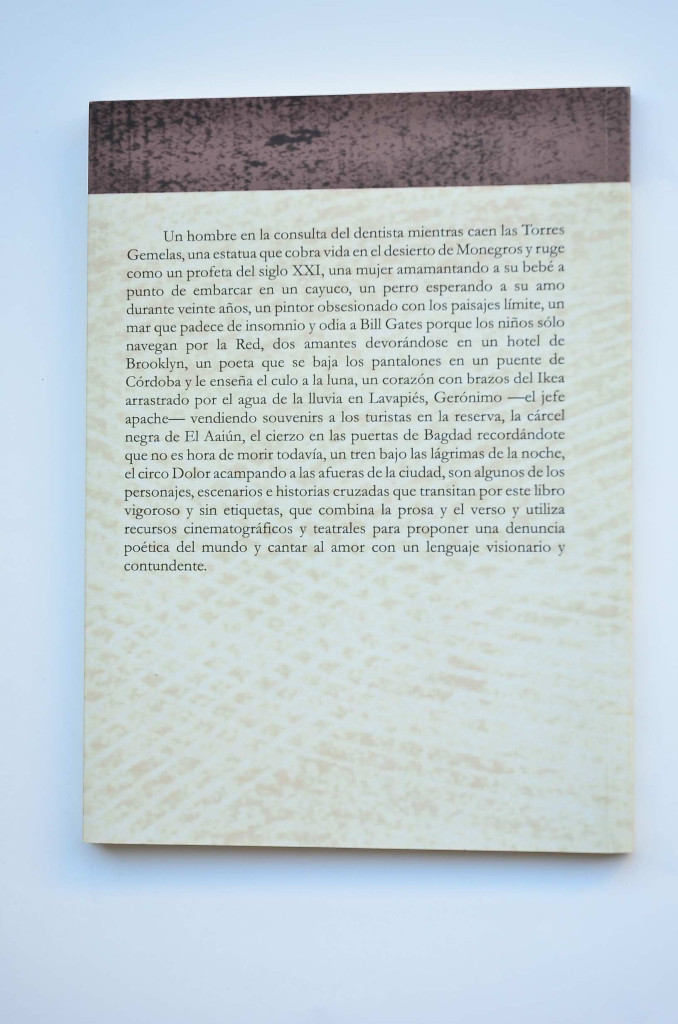 Libros: Demolici&oacute;n del arco iris - PETISME, &Aacute;ngel - Foto 4