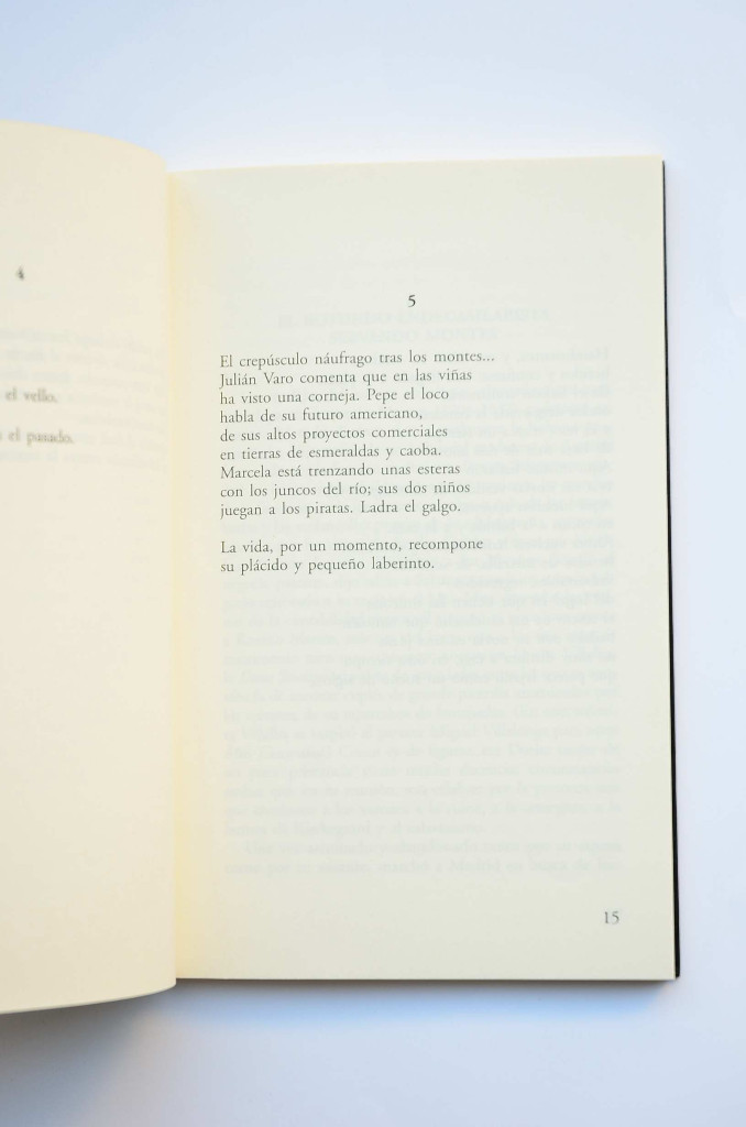 Libros: Vidas improbables - BEN&Iacute;TEZ REYES, Felipe - Foto 3