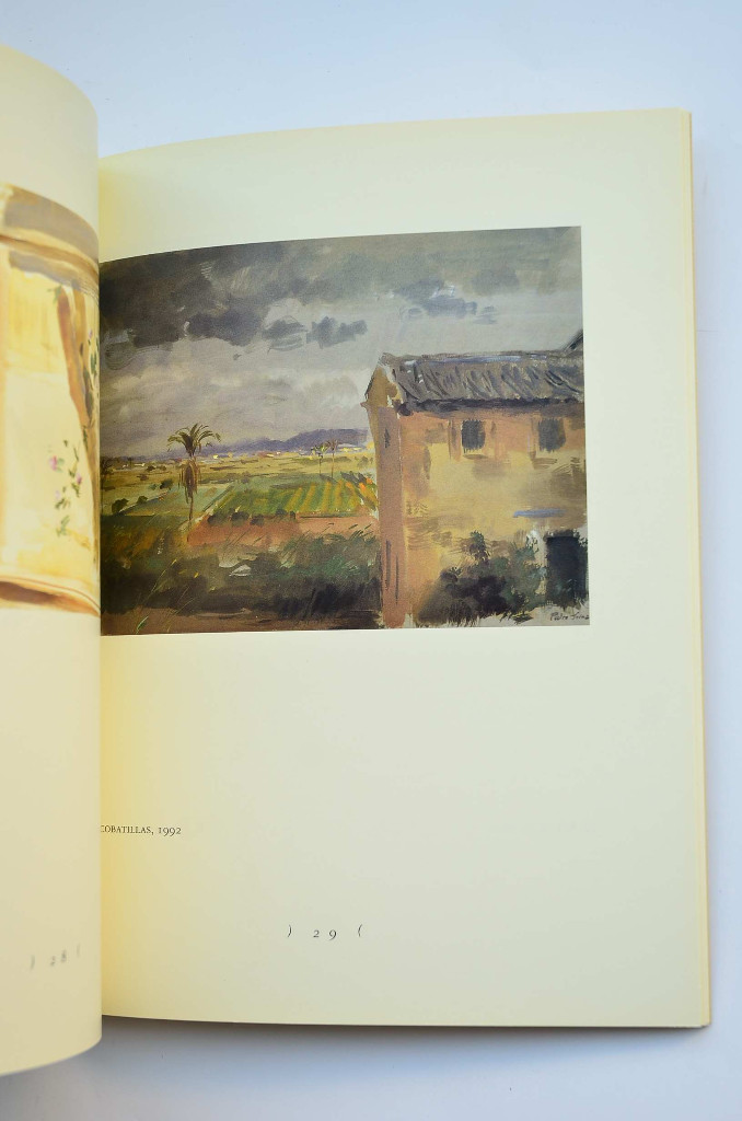 Libros: Pedro Serna. Pinturas, 1990 - 1993 - SERNA, Pedro - Foto 4