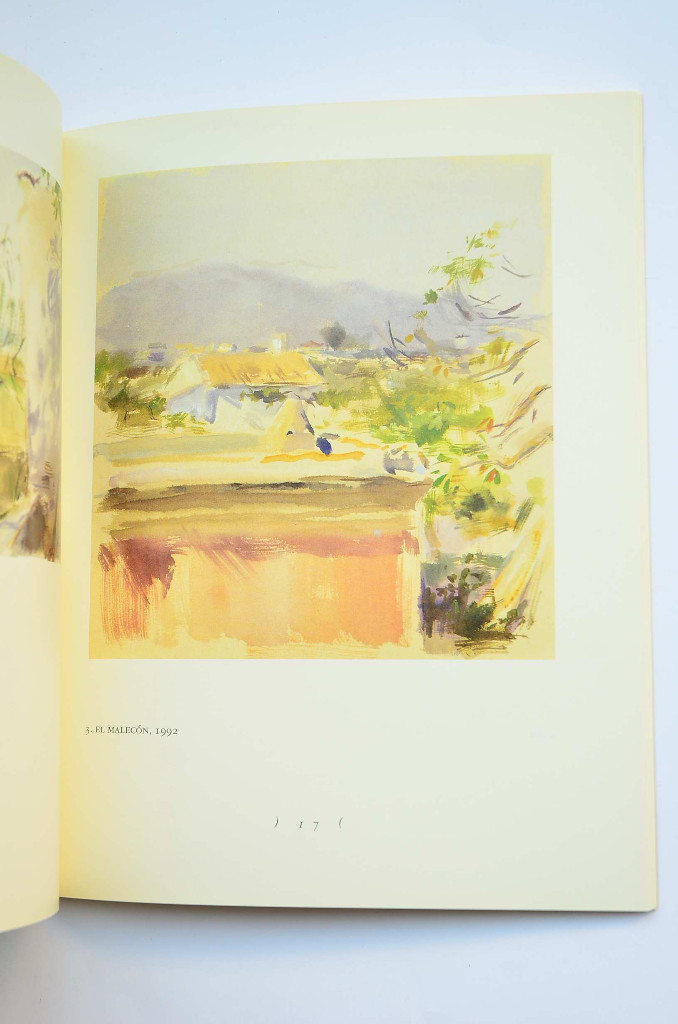 Libros: Pedro Serna. Pinturas, 1990 - 1993 - SERNA, Pedro - Foto 5