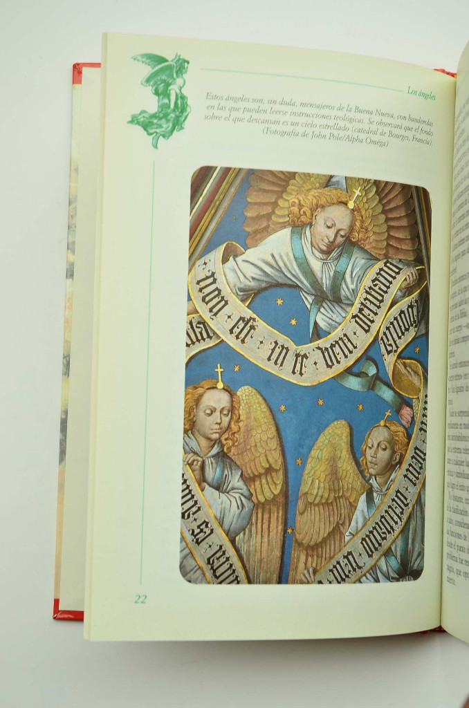 Libros: Los &aacute;ngeles - OLIVIER, Philippe - Foto 3