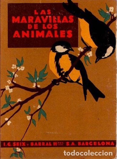 Libros: Las maravillas de los animales - Ballv&eacute;, Agust&iacute;n - Foto 1