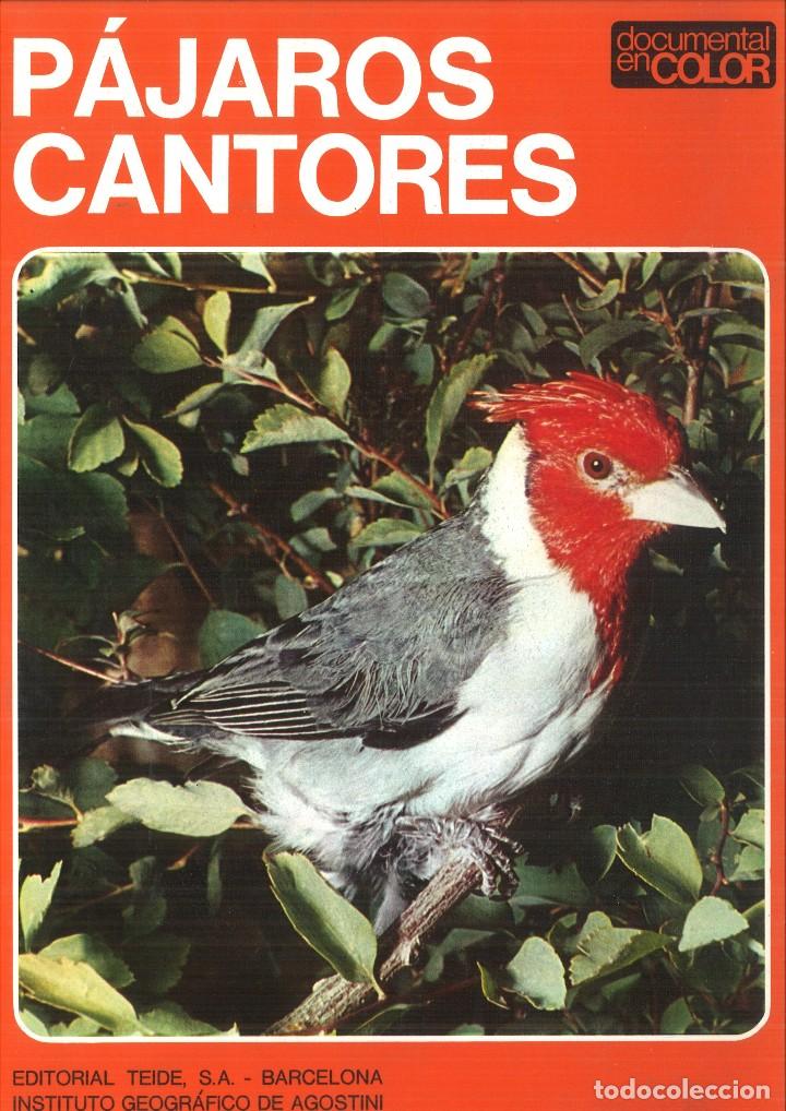 Libros: P&Aacute;JAROS CANTORES. Armando Grasselli - Foto 1