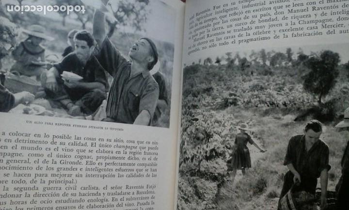 Libros: Catalu&ntilde;a/Catalunya-Jos&eacute; Pla - Foto 5