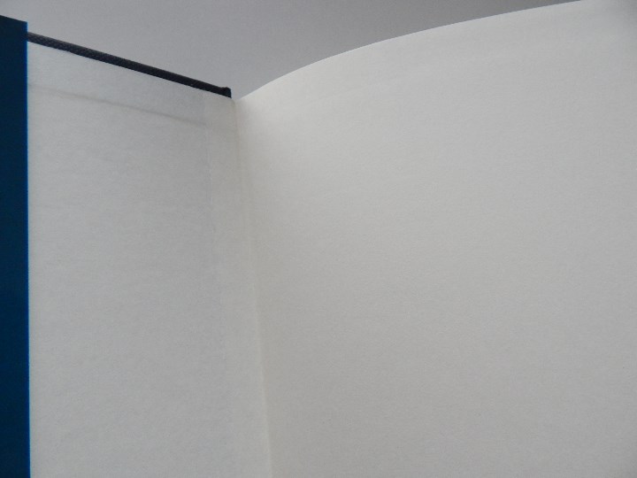 Libros: Furia - G. M. Ford / Libro - Foto 2