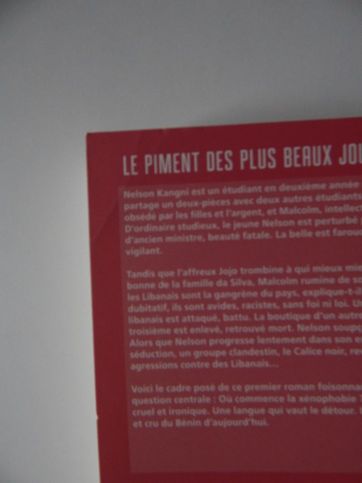 Libros: Le piment des plus beaux jours - J&eacute;r&ocirc;me Nouhoua&iuml; - Foto 3