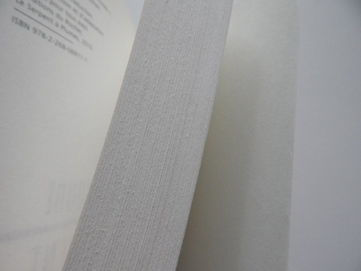 Libros: Le piment des plus beaux jours - J&eacute;r&ocirc;me Nouhoua&iuml; - Foto 9