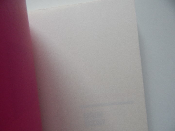 Libros: Camera obscura - Karl Manders, 2008 - Libro en franc&eacute;s - Foto 3