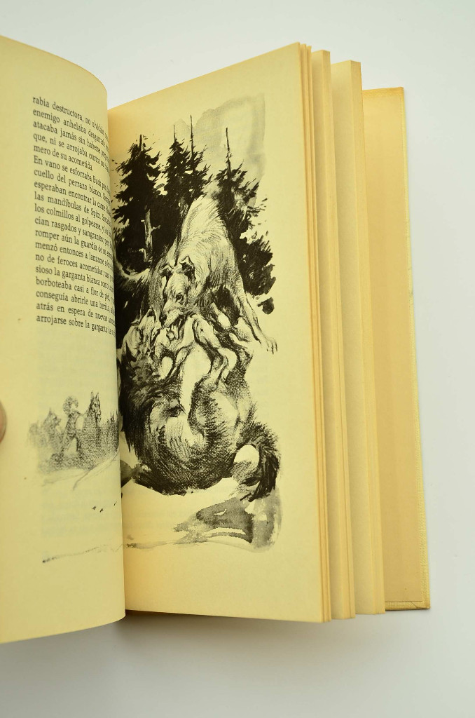 Libros: La llamada de la selva - LONDON, Jack - Foto 3