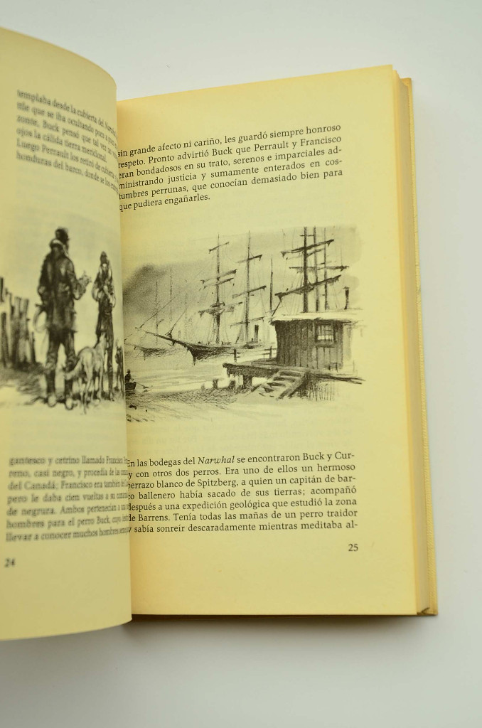 Libros: La llamada de la selva - LONDON, Jack - Foto 4