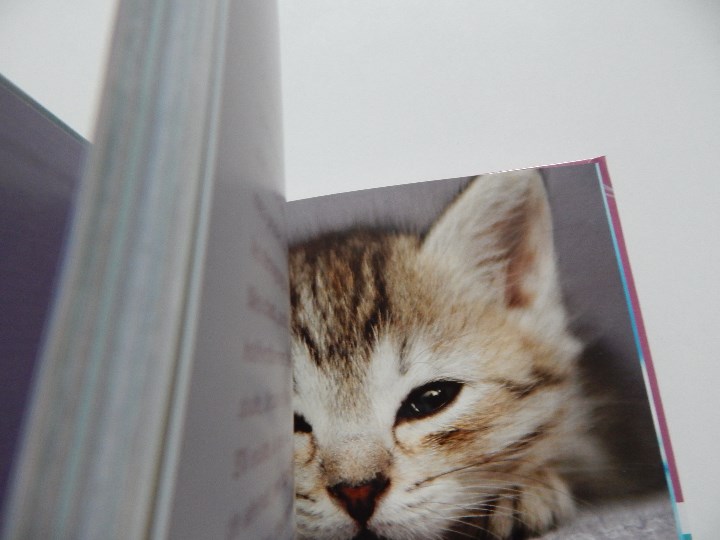 Libros: 52 bonnes raisons de prendre son temps - &Eacute;milie Devienne, 2011 - Foto 3