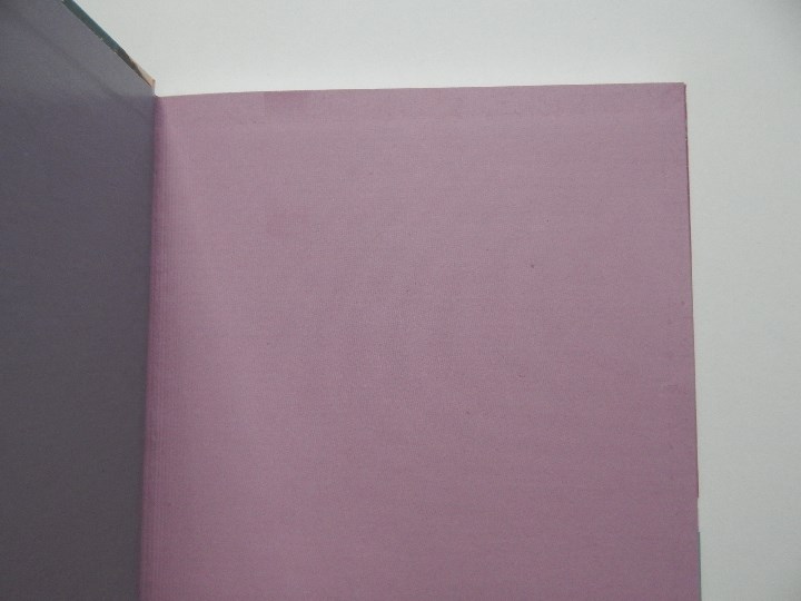 Libros: 52 bonnes raisons de prendre son temps - &Eacute;milie Devienne, 2011 - Foto 4