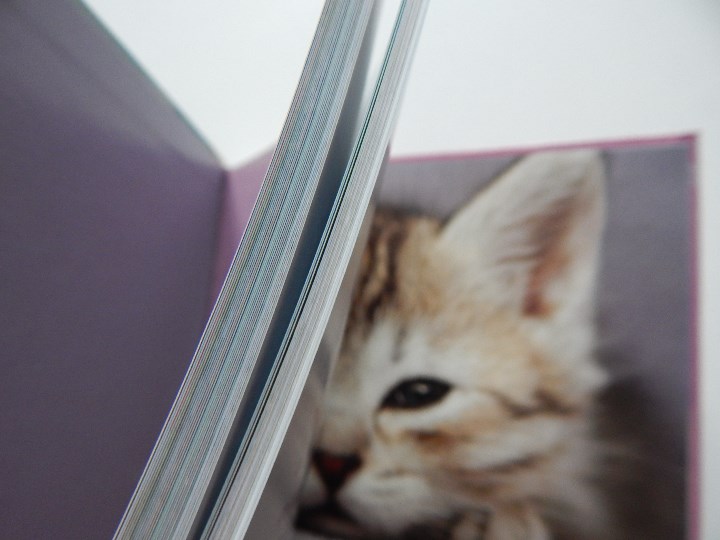 Libros: 52 bonnes raisons de prendre son temps - &Eacute;milie Devienne, 2011 - Foto 5
