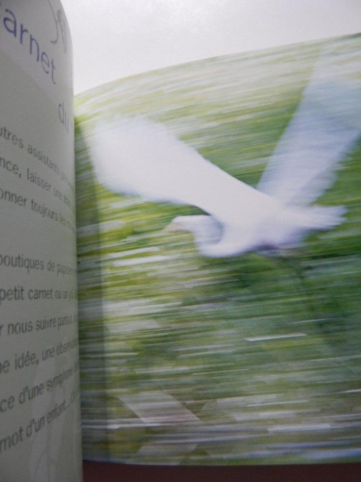 Libros: 52 bonnes raisons de prendre son temps - &Eacute;milie Devienne, 2011 - Foto 6