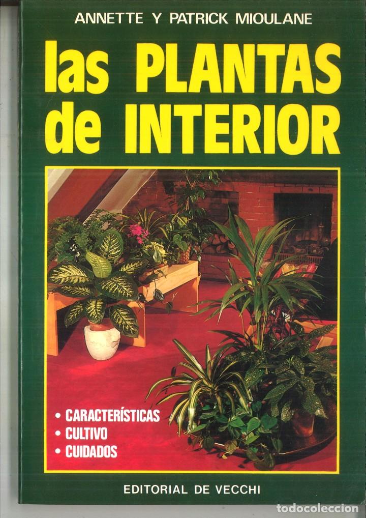 Libros: LAS PLANTAS DE INTERIOR. Annette y Patrick Mioulane - Foto 1