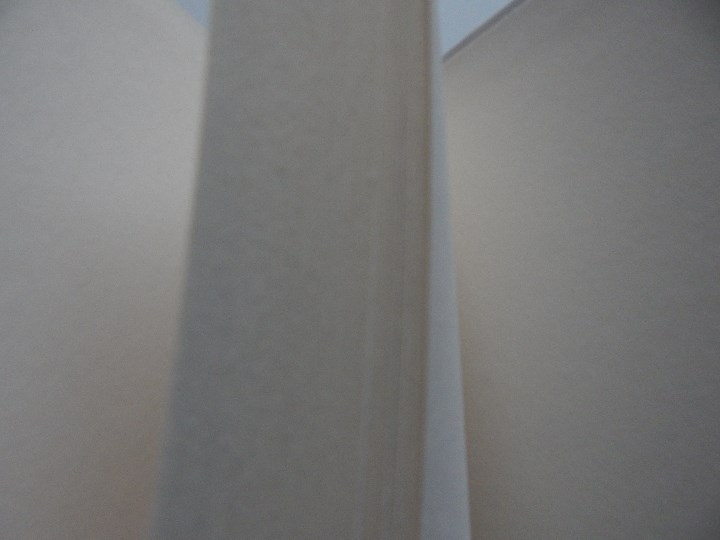 Libros: Los Stone - Robert A. Heinlein - Foto 6