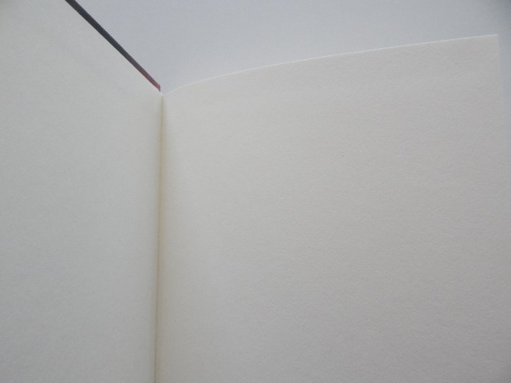 Libros: La sombra de Houdini - Leo Brent Robillard - Foto 3