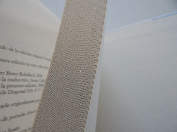 Libros: La sombra de Houdini - Leo Brent Robillard - Foto 6